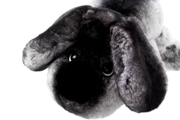 Картинка мягкая игрушка собака из натурального меха вилли шиншилла Holich Toys в разных ракурса